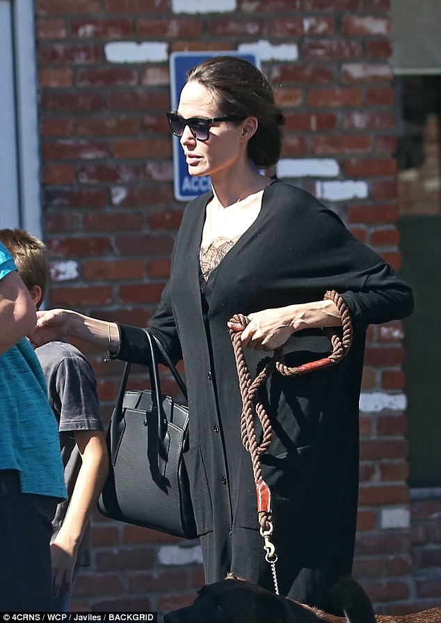 Doting mom: In addition to son Knox she has five other children including Shiloh, Zahara, Pax , Vivienne and Maddox Jolie-Pitt