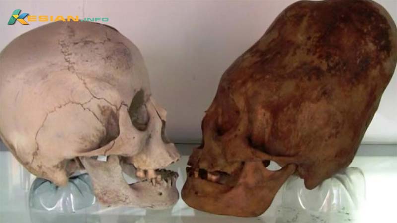 ancient-skeletons-from-croatia-discovered-with-alien-like-heads